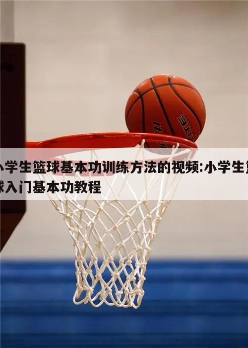 小學生籃球基本功訓練方法的視頻:小學生籃球入門基本功教程